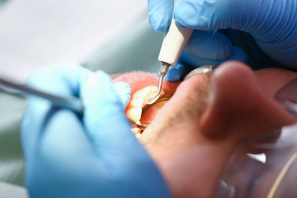 Best Emergency Orthodontic Repairs in Santa Rita Ranch, TX